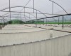 Mỳ gạo Hùng Lô loại đặc biệt